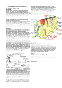 La Teoria DI Marr sull`apprendimento cerebellare
