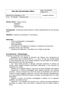 Data 10 - Share Dschola