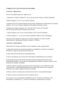 curriculum vitae di stefano dughera