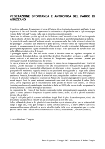 scarica la Dispensa