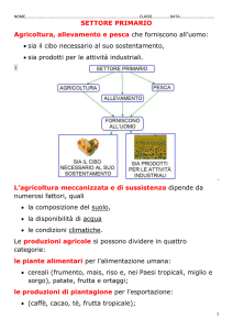 settori economici