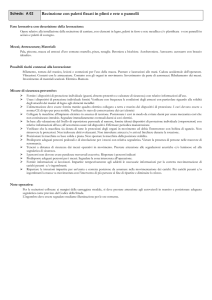 recinzione con paletti fissati in plinti e rete o