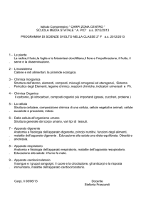 scienze - Istituto Comprensivo Carpi Centro