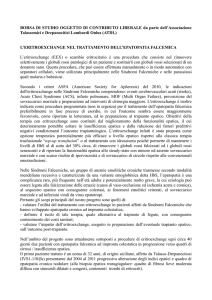Eritroexchange- Stato dell`arte