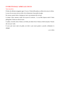 il cocco - ISTITUTO COMPRENSIVO DI VILLANOVA D`ASTI