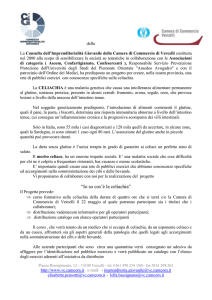 La Consulta dell`Imprenditorialità Giovanile della Camera di