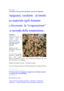 Problema di costi tra Apiguard e Timolo di