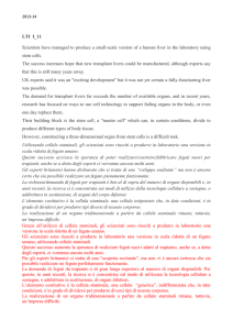 2013-14 LTI I_11 Scientists have managed to produce a small