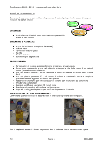 Attività del 25 nov