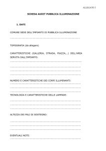 scheda audit pubblica illuminazione