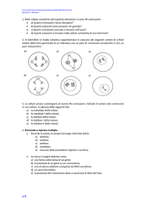 a2012 mar esercizi genetica