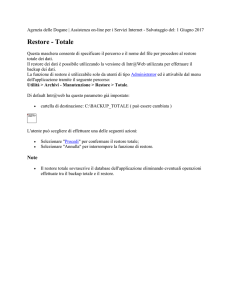 Restore - Totale - Assistenza Agenzia delle Dogane