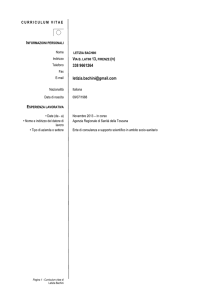 Curriculum vitae del candidato
