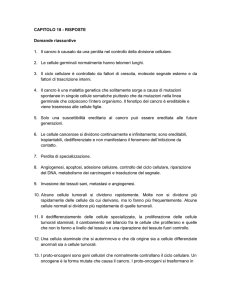 Capitolo_18