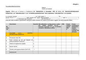 allegato c editabile