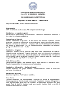 Biochimica - Facoltà di Medicina e Chirurgia