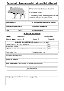 Scheda Rilevamento Biometrico