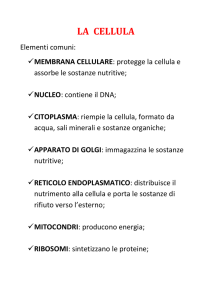 la cellula - Salesiani Bra