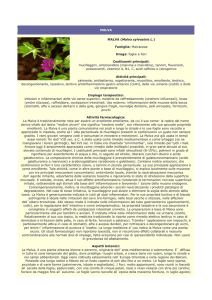 malva - Farmacia S. Antonio – Brescia