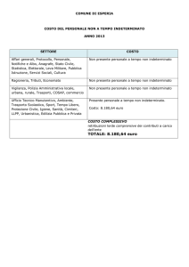 Costo del personale non a tempo indeterminato