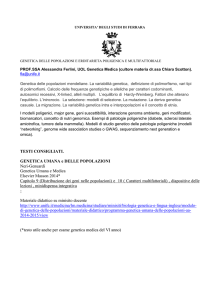 universita` degli studi di ferrara