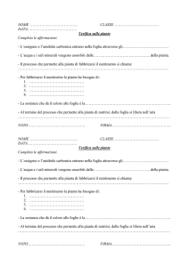 La fotosintesi