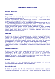 Malattie degli Organi di Senso - allevamento boxer del ducato di