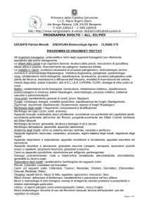 DOCENTE Patrizia Menotti DISCIPLINA