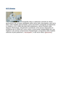 OCT3 Stratus - amedeo lucente