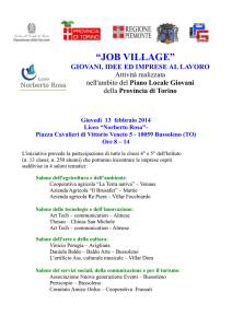 job village - Liceo Norberto Rosa