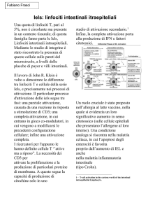 iels: linfociti intestinali intraepiteliali