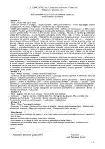 programmazione ist. tec. per geometri "aniene"