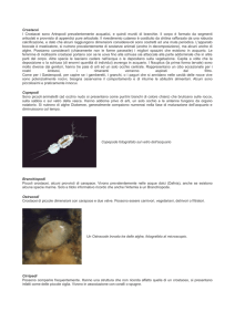 crostacei e interazioni interspecifiche
