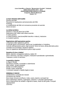 Liceo Scientifico e Classico “Bonaventura Cavalieri”, Verbania
