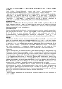 FENOTIPO DI STAMINALITA` E RECETTORI MUSCARINICI NEL