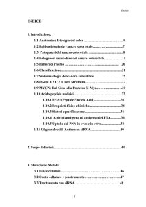 TESI COLON - Oncoematologia Pediatrica