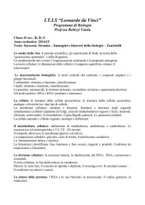 bio - Itis Leonardo da Vinci