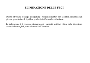 Fattori che influenzano l`eliminazione delle feci