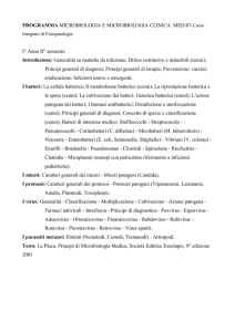 laurea in infermiere pediatrico