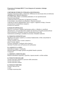 Istologia_BIO_17