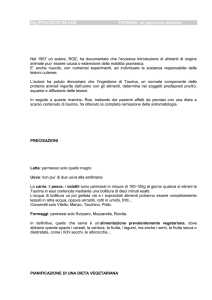 modello di documento per dieta