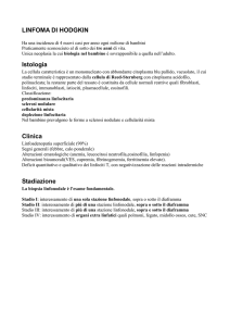 linfoma di hodgkin