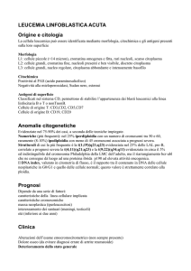 leucemia linfoblastica acuta