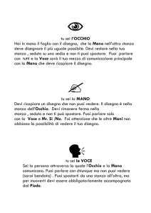 Istruzioni tascabili per ruolo