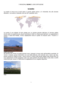 Elementi naturali – Bioma 2 - 3Bcorso2012-13