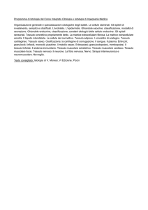 Programma Istologia AA 2012-13