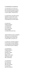 La nuvola bianca e la nuvola nera