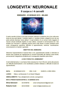 LONGEVITA` NEURONALE Il corpo ei 4 cervelli