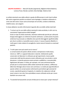 gruppo numero 3 - Scienza Attiva