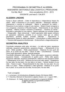 programma di geometria